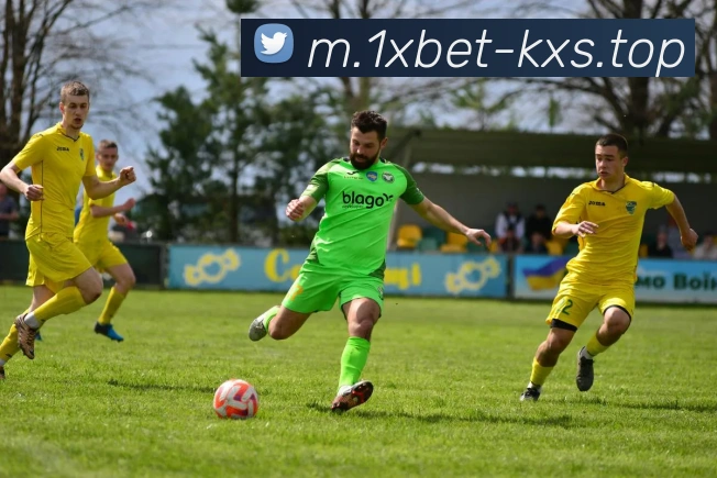 App Interface Preview